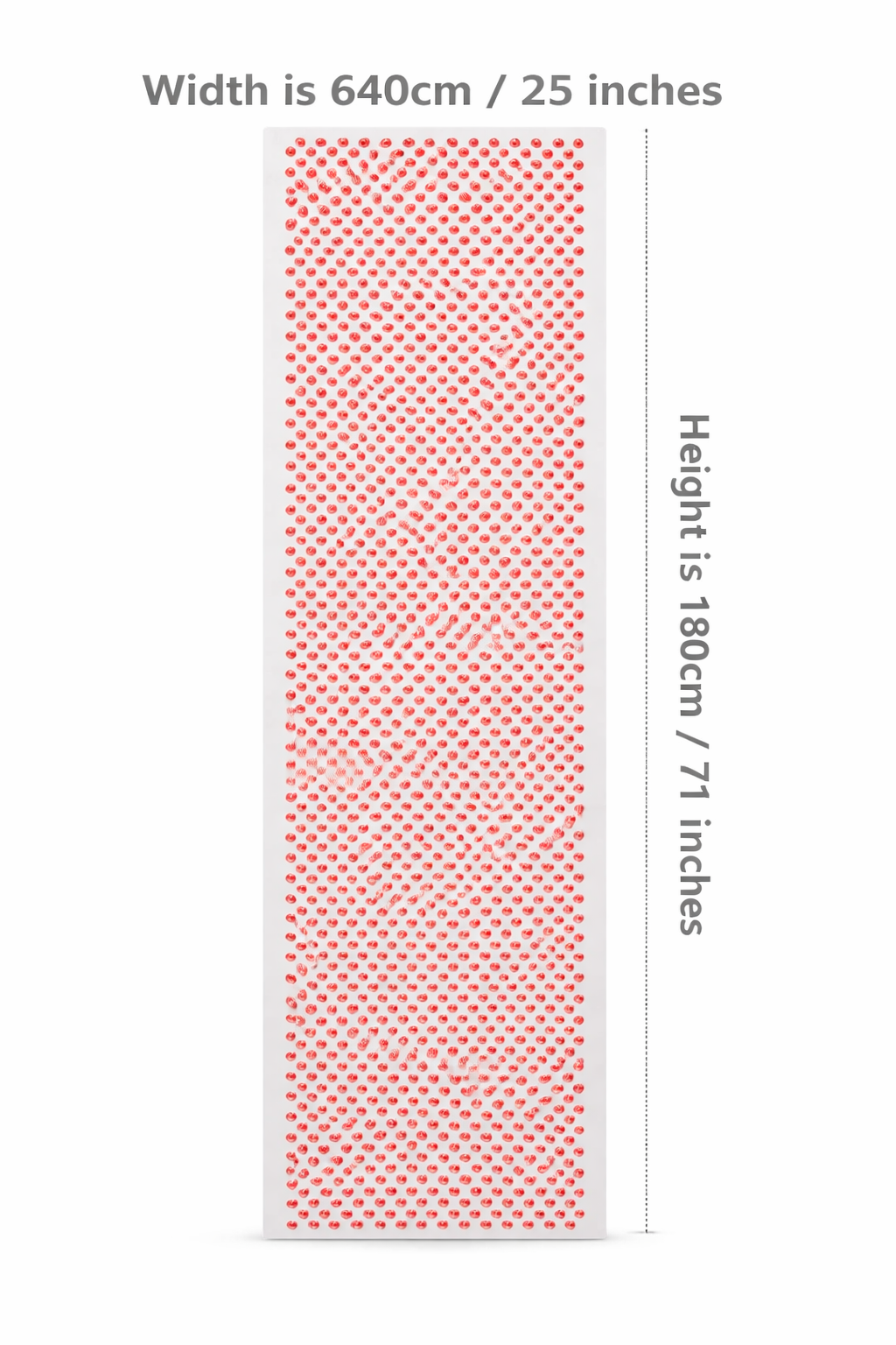 SN6000 Full-Body Red & Near-Infrared Light Therapy Panel
