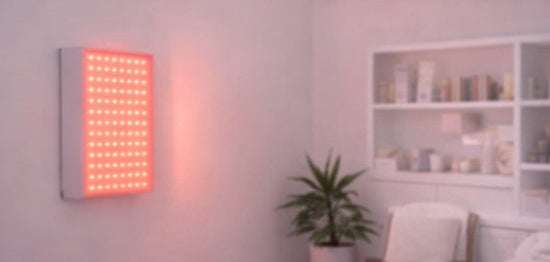 Premium Wellari lifestyle space featuring modern body conditioning and relaxation environments