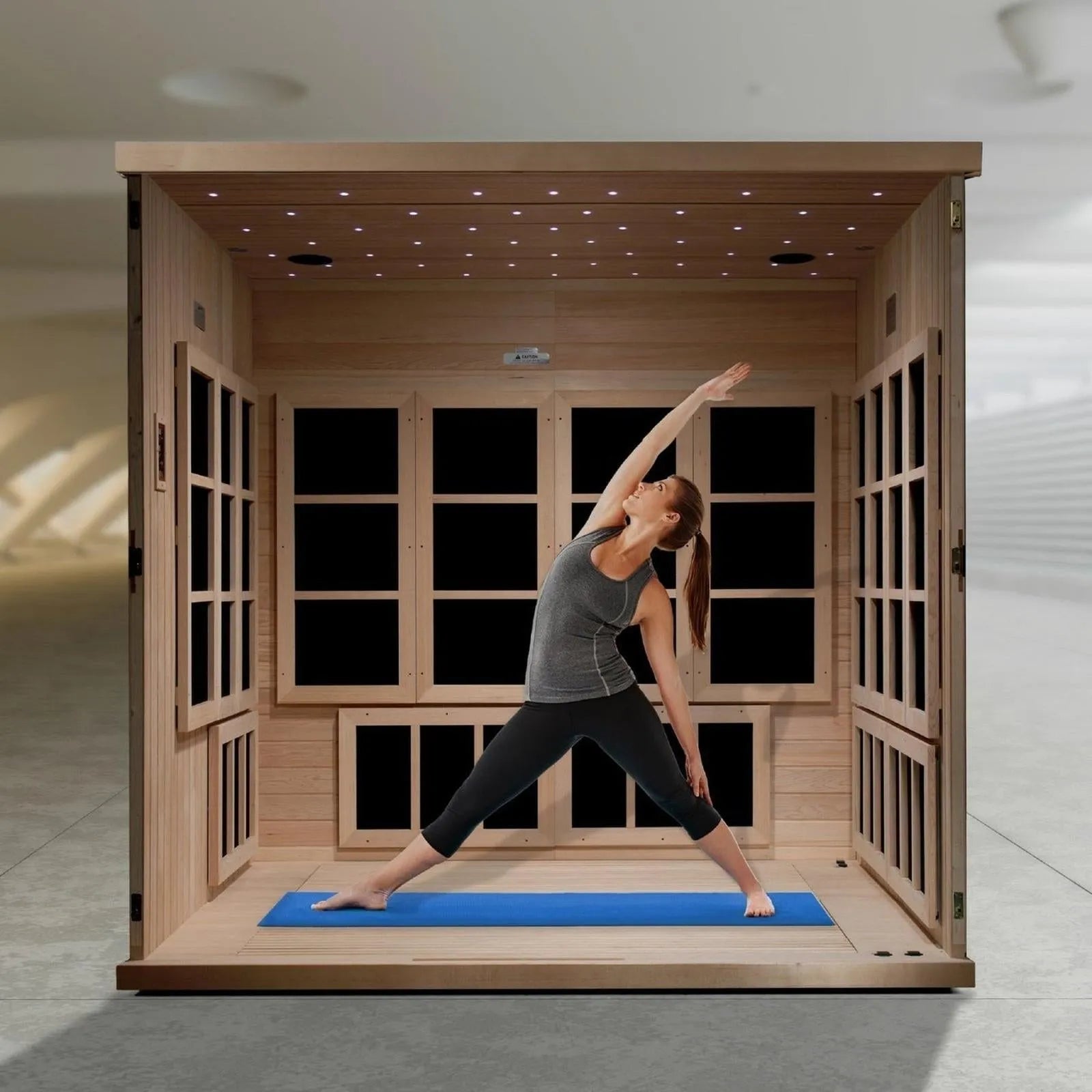 Catalonia Elite 8-Person Wheelchair Accessible Infrared Sauna by Dynamic
